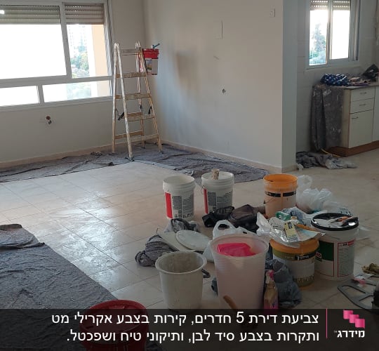 דלי צבע, סולם, יריעות כיסוי, כלי עבודה לצביעה
